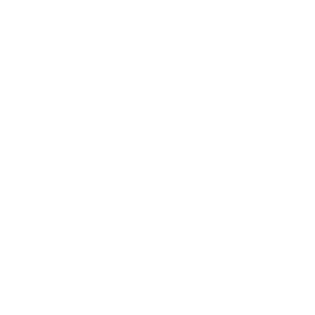 Retail Packaging Shopping Bags Icon