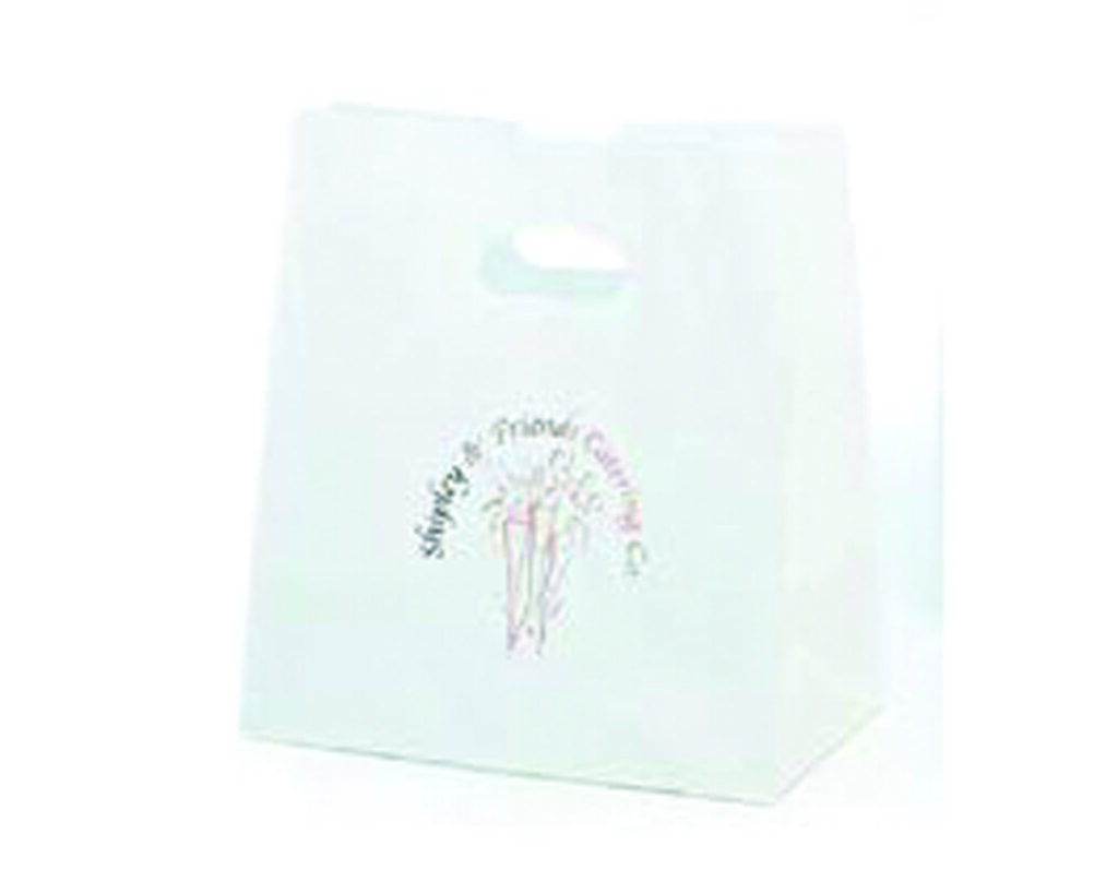 Food Service Customizable Frosted Catering Bag