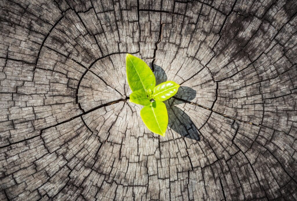 A Smarter Greener Way to Package