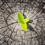 A Smarter Greener Way to Package